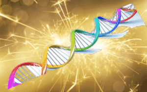 Initiierung in die Goldene kristalline DNA - GKDNA @ MANANDA-Zentrum